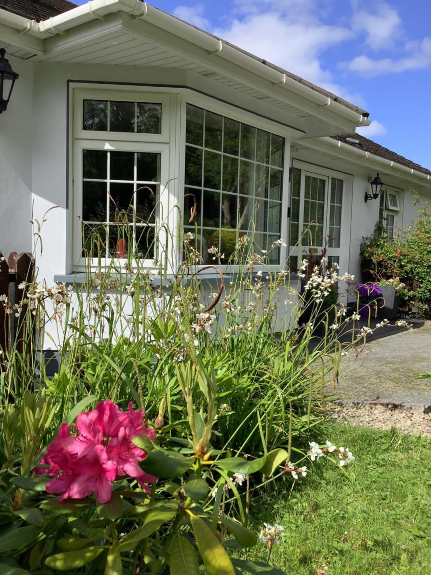 O' Sullivan'S B & B Kilclogherane Eksteriør billede